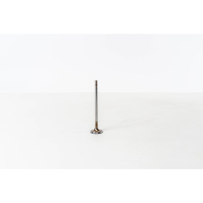 827040 Inlet Valve