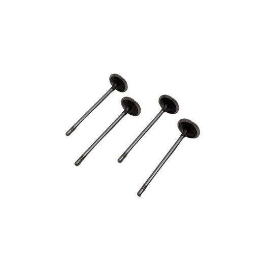 827110 Outlet valve