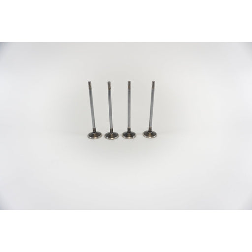 827111 Outlet valve