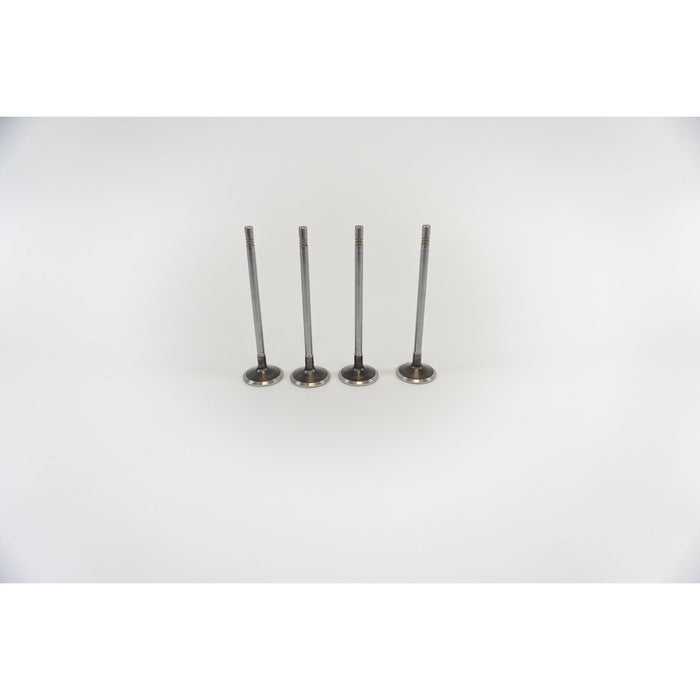 827111 Outlet valve