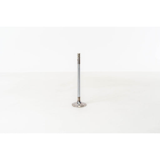 827120 Inlet Valve