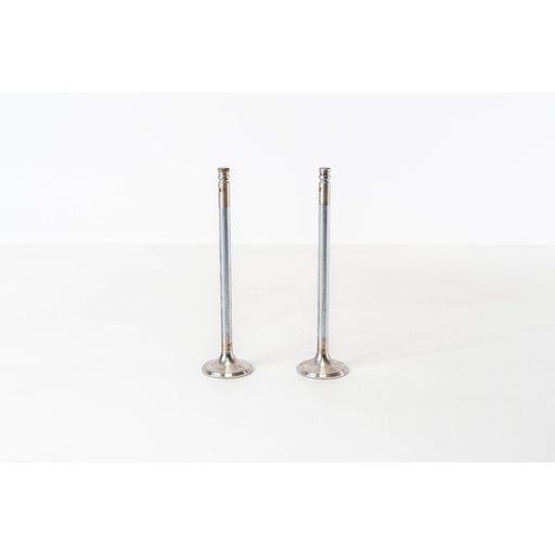 827125 Outlet valve
