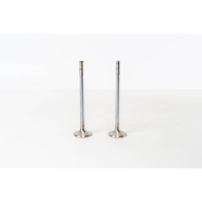 827125 Outlet valve