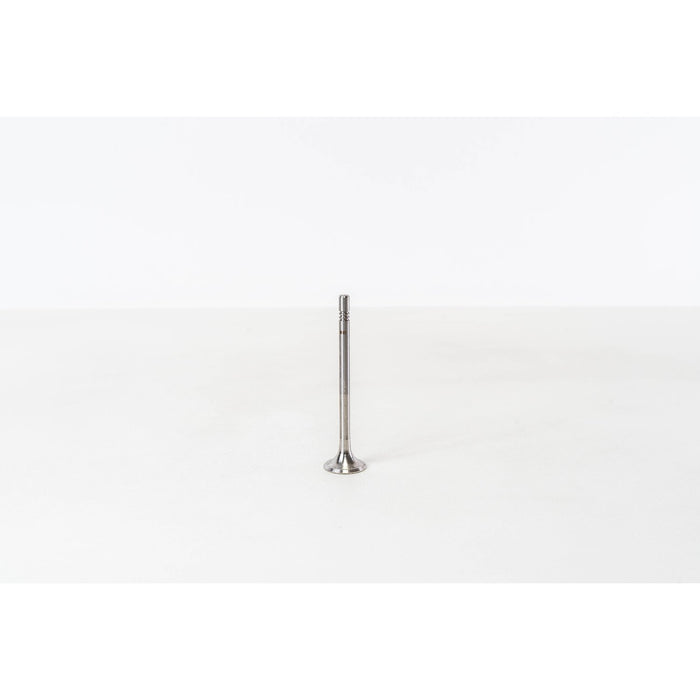 827140 Outlet valve
