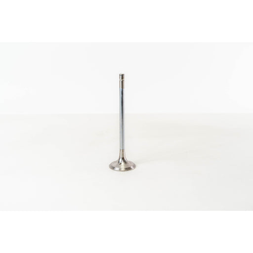 827220 Outlet valve