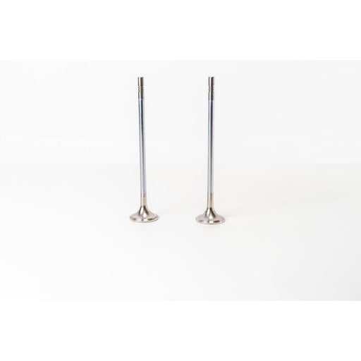 827270 Outlet valve