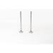 827270 Outlet valve