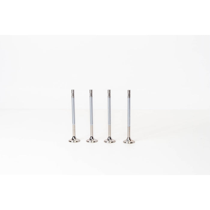 827285 Outlet valve