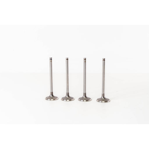827330 Inlet Valve