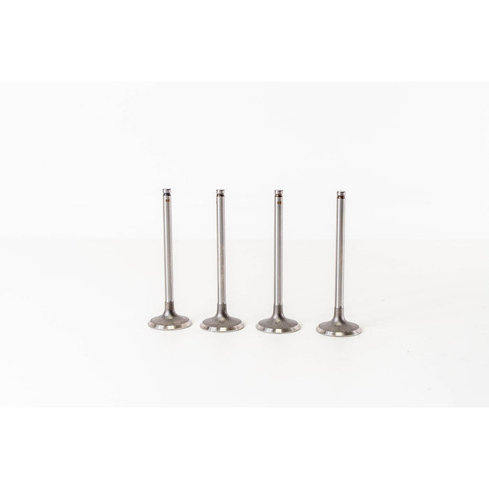 827330 Inlet Valve