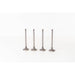 827330 Inlet Valve
