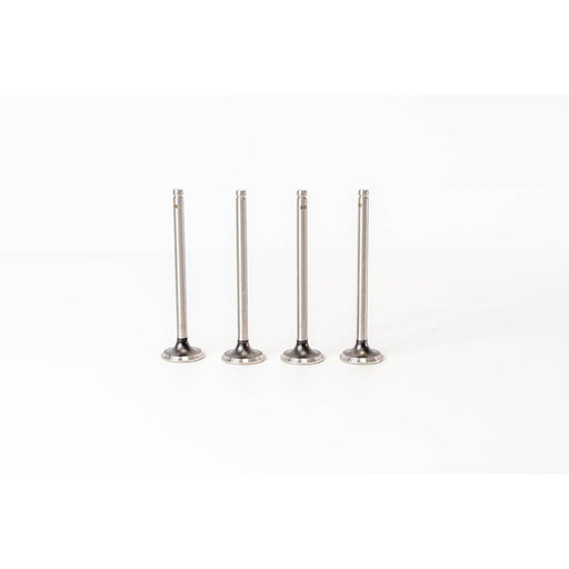 827340 Outlet valve