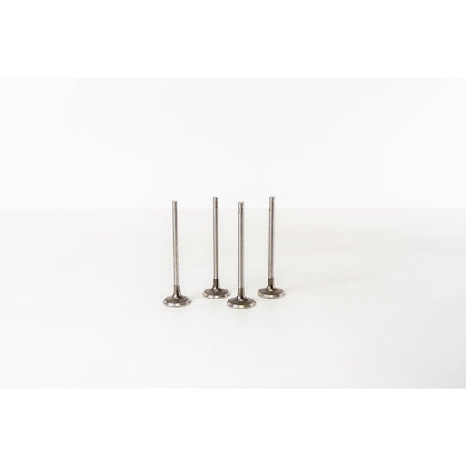 827380 Inlet Valve