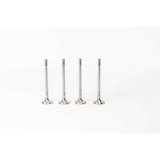827395 Outlet valve