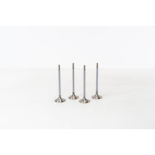 827400 Inlet Valve
