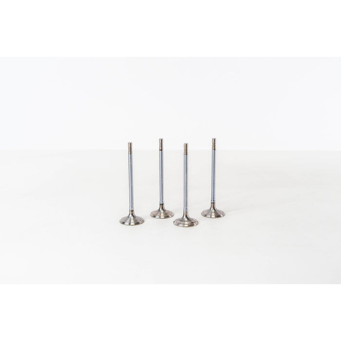 827400 Inlet Valve