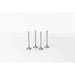 827400 Inlet Valve