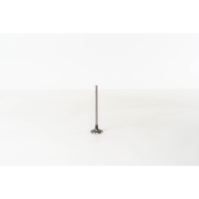 827420 Inlet Valve