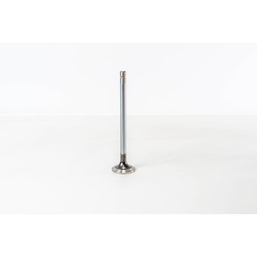 827472 Outlet valve