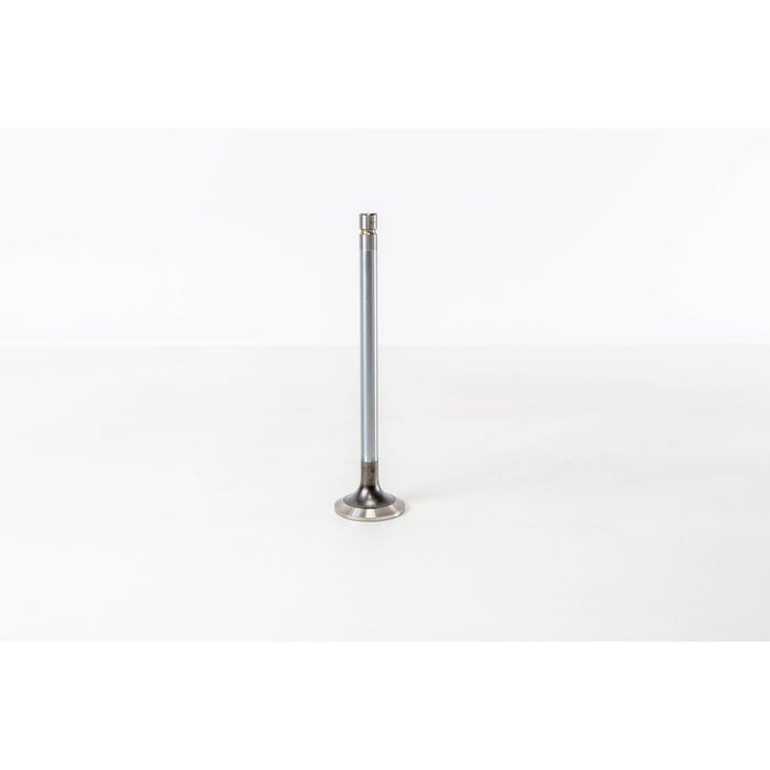 827472 Outlet valve
