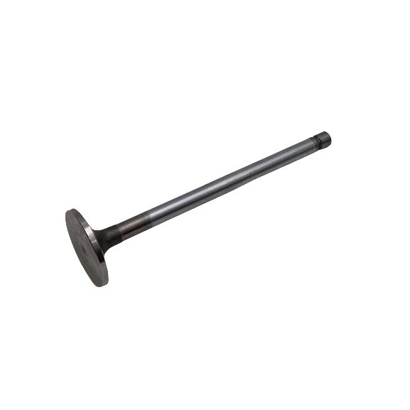 827486 Inlet Valve