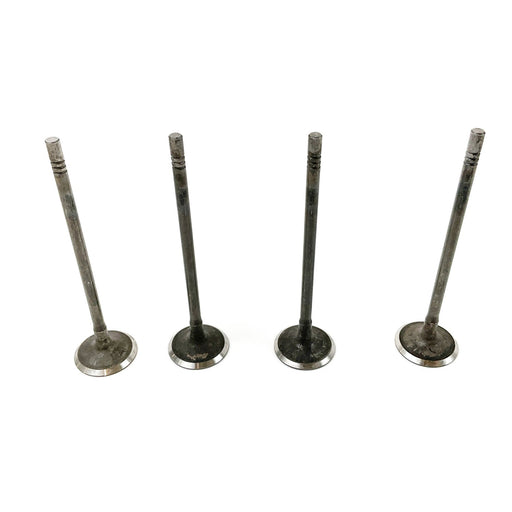 827489 Inlet Valve