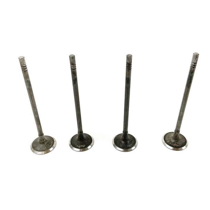 827489 Inlet Valve