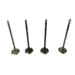827489 Inlet Valve