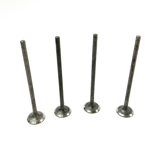 827490 Outlet valve