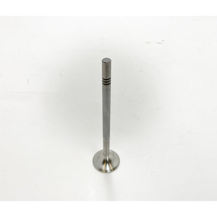827570 Outlet valve