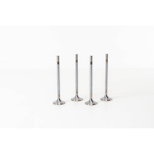 827580 Inlet Valve