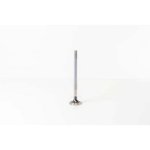 827590 Outlet valve