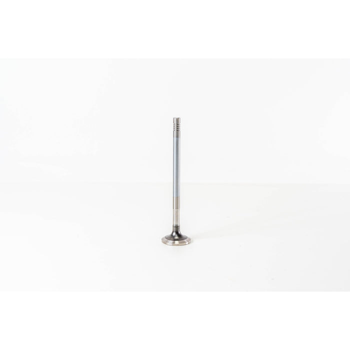 827590 Outlet valve