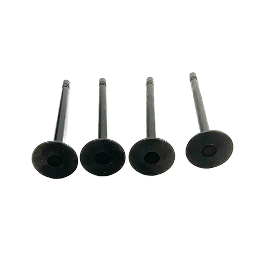 827620M Inlet Valve