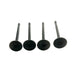827620M Inlet Valve