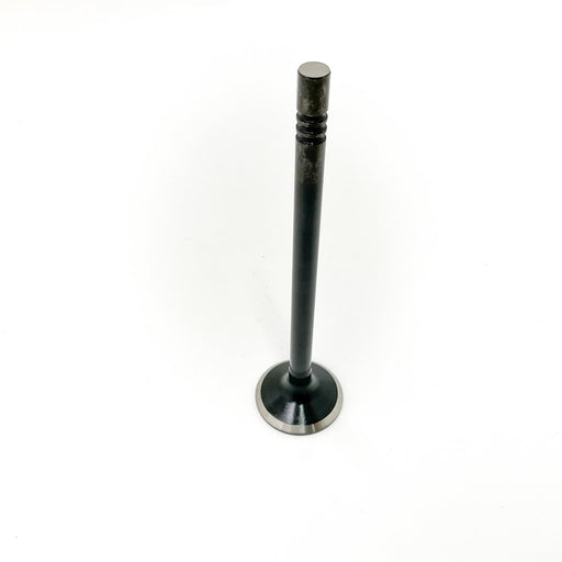 827620 Inlet Valve