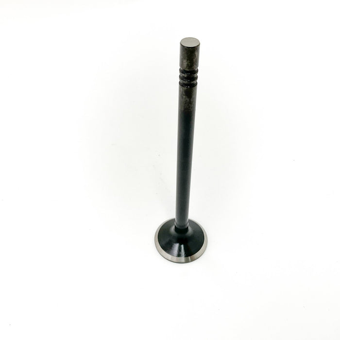 827620 Inlet Valve
