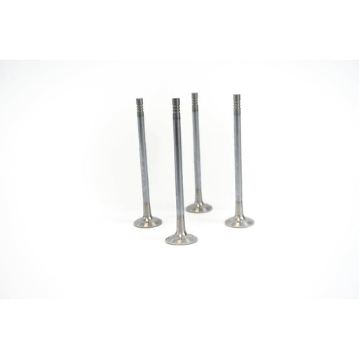 827690 Outlet valve