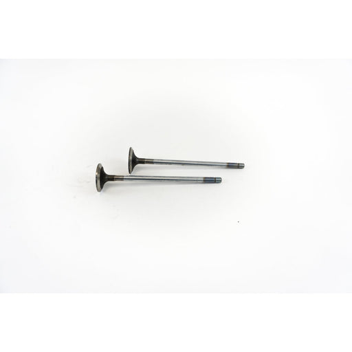827780 Inlet Valve