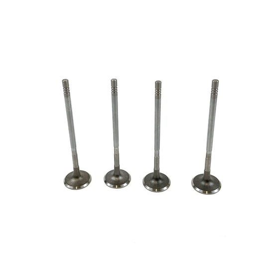 827800 Inlet Valve