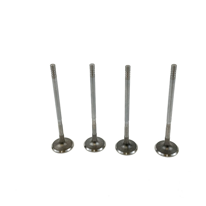 827800 Inlet Valve