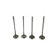 827800 Inlet Valve