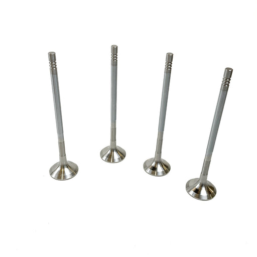 827805 Outlet valve