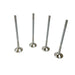 827805 Outlet valve