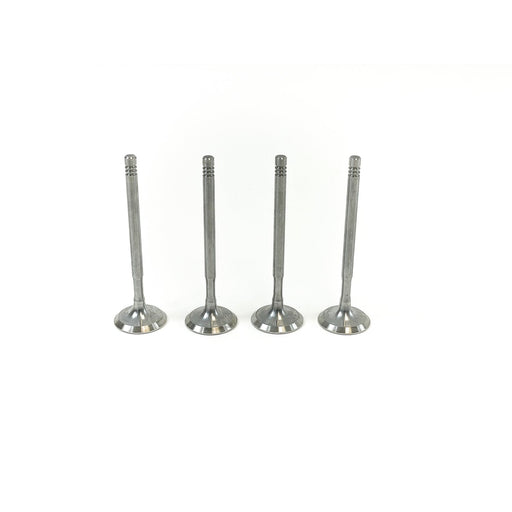827820 Inlet Valve