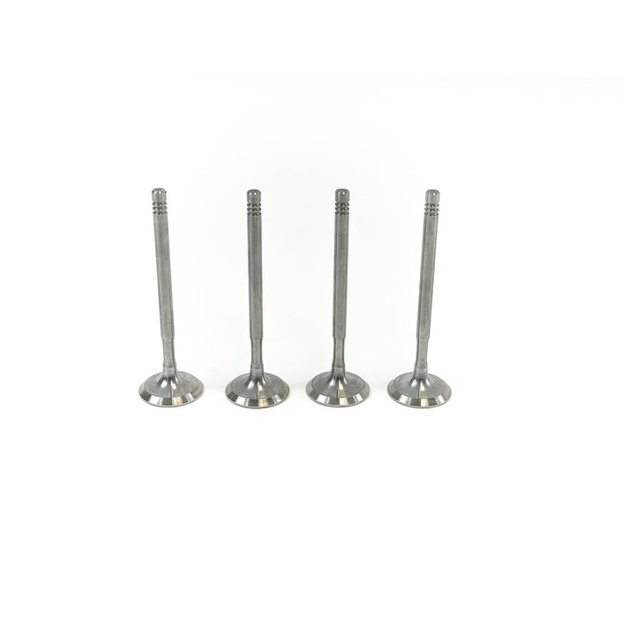 827820 Inlet Valve