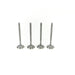827820 Inlet Valve