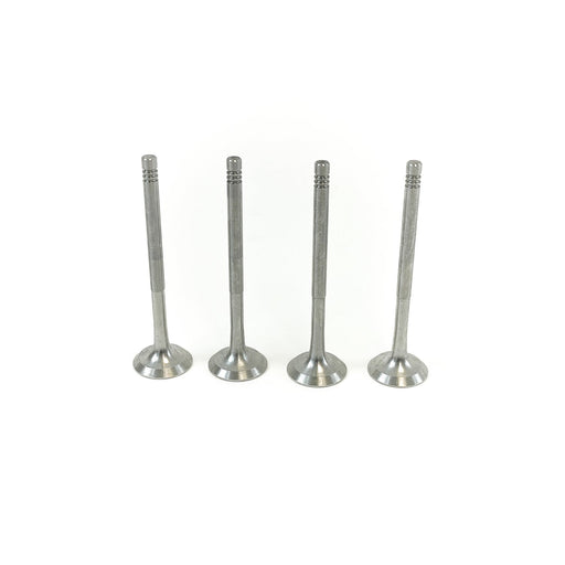 827825 Outlet valve