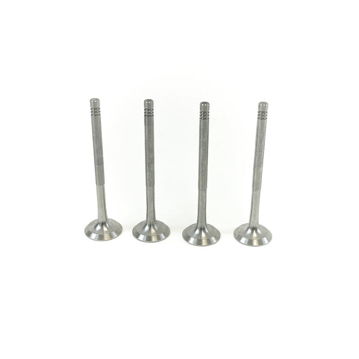 827825 Outlet valve