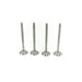 827825 Outlet valve